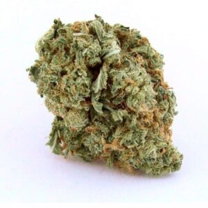 Blue Dream Marijuana, Blue Dream Weed, Buy Blue Dream Marijuana, Buy Blue Dream Marijuana Online, Buy Blue Dream Weed, Buy Blue Dream Weed India, Buy Blue Dream weed Online, Buy Blue Dream Weed UK, Buy Buy Blue Dream Weed In America, Buy Buy Blue Dream Weed In Australia, Buy Buy Blue Dream Weed In Austria, Buy Buy Blue Dream Weed In France, Buy Buy Blue Dream Weed In Germany, Buy Buy Blue Dream Weed In Hungary, Buy Buy Blue Dream Weed In Italy, Buy Buy Blue Dream Weed United Kingdom, Mail Order weed with Discreet Delivery Guarantee, MAIL ORDER MARIJUANA, mail order pot, mail order weed, mail order weed online, mail order weed usa, mail terra, mailing small amounts of weed, marijuana by state, marijuana chocolate, MARIJUANA CLONES FOR SALE, marijuana concentrate, marijuana dictionary, marijuana distillate, marijuana edibles for sale, marijuana edibles online, MARIJUANA FOR SALE, MARIJUANA FOR SALE ONLINE, marijuana online, marijuana online store, marijuana seed bank, Marijuana Strains, medical cannabis doctors, medical cannabis online, medical cannabis states, medical marijuana dispensary, medical marijuana online, medical marijuana online store,